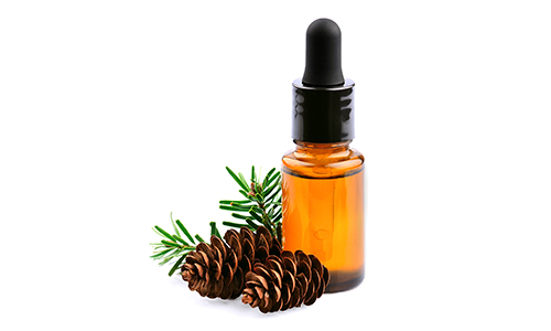 CEDRUS ATLANTICA OIL