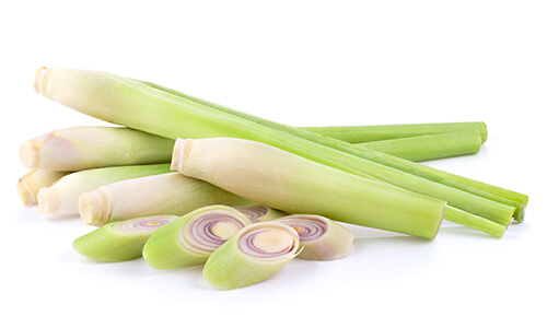 CITRONELLA OIL