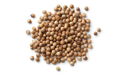 CORIANDER EO RUSSIA