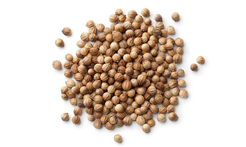 CORIANDER EO RUSSIA