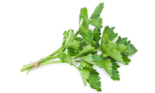 PARSLEY LEAF