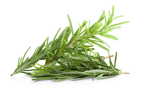 ROSEMARY OIL