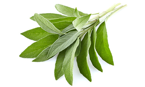 SAGE OIL